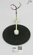 17952 APPLIED MATERIALS PLASMA CHUCK ASSY W/O BELLOW, 0190-35712 0190-35271