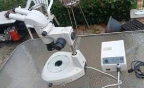 Nikon SMZ1000 Stereo Zoom Microscope with Nikon NI-150 Light illuminator