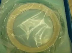 APPLIED MATERIALS CERAMIC PLATE,EDGE COVER DXZ 0200-10169