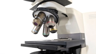 ECLIPSE80i [OperationTested] Epi-fluorescence Biological Microscope Nikon 350355