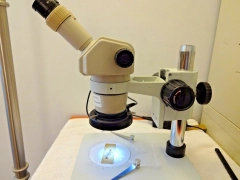 Nikon SMZ1B microscope, zoom 8X-35X, New 10X e/p's & new post std, new LED R/L