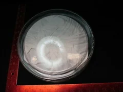 Applied Materials (AMAT) 0040-02926 PLATE,BOT. BPSG REFL,200MM,IMPRVD RING,