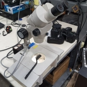 Nikon SMZ-2B Stereo Laboratory Upright Zoom Microscope - WORKING