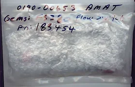 GEMS, 183454 Flow Switch .8 GPM Applied Materials 0190-00653
