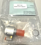 Inficon AMAT Transpector 923-711-G1 HEXBLOCK Rebuild VALVE KIT *NEW SEALED*