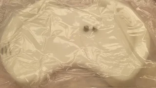 Applied Materials Membrane support fixture 300mm Titan head AMAT 0040-41846