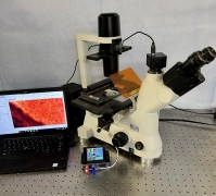 Nikon TS-100 Eclipse Upgraded  LED Inverted Fluoresce Phase  Microscope
