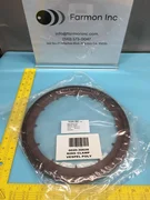 AMAT 0020-30628 RING, CLMP, VESPEL, POLY/WSI, 200MM, 154482