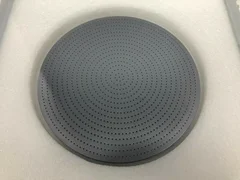 Lam Research 719-021113-402 Rev F Silicon Electrode Assembly