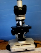 Nikon X2F21ph Phase Contrast Microscope CFW10X Eyepieces CF-Plan Objectives