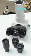 Nikon T Trinocular Microscope Head 2 Qty CFW10X CFW 10X Objectives Lens CF PL5X