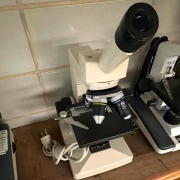 Nikon SE Upright Monocular Compound Microscope 10X-40X Bio/Medical Lab
