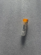 APPLIED MATERIALS 0021-54083,NEW