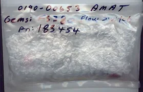 GEMS, 183454 Flow Switch .8 GPM Applied Materials 0190-00653