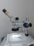 Nikon SMZ1B microscope, zoom 8X-35X, New 10X e/p's & Post stand, new LED R/L
