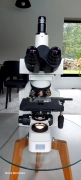 Nikon Eclipse E400 Trinocular Microscope - 5 Nikon Plan Objectives 4x-100x