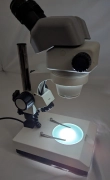 Nikon SMZ645 Stereo Zoom Microscope w/ C-W10xA/22 Eyepieces & Lighted Stand