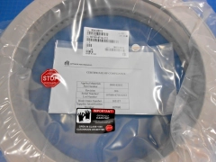 0040-82011 / PUMPING PLATE AFEOL 300MM / APPLIED MATERIALS AMAT