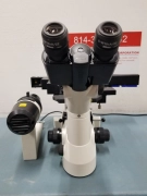 NIKON, ECLIPSE TS100-F, MICROSCOPE
