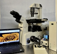 Nikon TE2000S  LED Fluorescence Microscope,XYZ Prior Stage CAM+ Guarantee