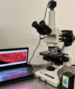Nikon Optiphot 2 Broadband 400nm-610nm LED Fluorescence Phase Microscope