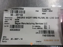Segue Manufacturing S20358 ENEGRIS WG2FT1RR2 FILTER, IN-LINE GAS