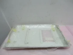 AMAT 0190-09779, Assembly, Cover, W/B LLC Door, Conductive Paint. 420043