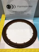 AMAT 0020-30628 RING, CLMP, VESPEL, POLY/WSI, 200MM, 138070