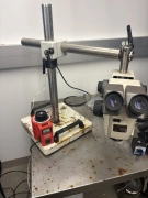 Nikon SMZ-2U Stereo Microscope Binocular Upright Zoom 1:10 Medical Lab