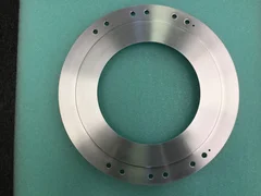 0020-42080 PLATE,PUMPING,6" SR, WxZ