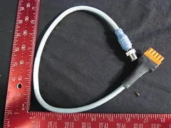 AMAT 0620-00481 TURCK RSC-BK52C 572-0.5M CABLE ASSY DNET DROP 0.5METER 300V 80C
