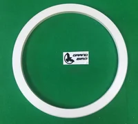 AMAT 0022-77252 RETAINING RING, 300MM TITAN HEAD, USED