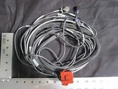 APPLIED MATERIALS (AMAT) 0140-00434    Cable Harness Assembly, CASS. Position WL
