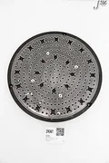 29361 LAM RESEARCH ELECTROSTATIC CHUCK, PL, GDP, INNER, 3ZONE 839-100675-305