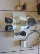 Nikon SMZ-2T Stereozoom Trinocular Microscope on Desktop Stand