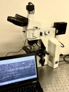 Nikon Eclipse ME600P Pol Microscope Metallurgical Trinocular Bright Field