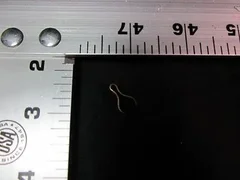 APPLIED MATERIALS (AMAT) 0020-98651    CLIP,CONNECTIONS