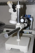 NIKON SMZ-1B Stereoscopic Microscope Head with Extension Arm and Heavy Base
