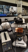 Nikon Optiphot-2 Microscope DIC Fluorescence Phase Contrast 4x 10x 20x 40x 1  BG