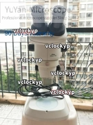 Nikon Microscope SMZ745+C-30x/7 30X eyepieces+Upper & Bottom Light, 20.1x-150x