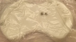 Applied Materials Membrane support fixture 300mm Titan head AMAT 0040-41846