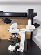 Nikon Eclipse 55i Dual Head Microscope Plan Fluor 4x-100x Insight Camera