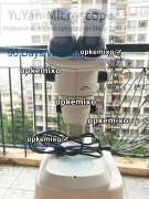 Nikon Microscope SMZ745+C-30x/7 30X eyepieces+Upper & Bottom Light, 20.1x-150x
