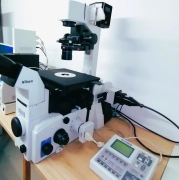Nikon Eclipse TE2000-U Inverted Laboratory Microscope - Excellent Condition