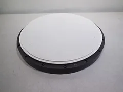 Applied AMAT 300mm ESC Chuck 0010-33590 0041-08142 0041-08143 11168200-437-0002