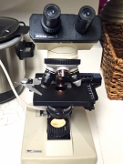 Nikon Alphaphot YS Binocular Upright Compound Microscope 40X-1000X