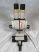 Nikon SMZ-1B Stereo Zoom Microscope Head Eyepieces Focus Mount 522961