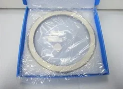 APPLIED MATERIALS 0040-62020 RETAINING RING FLANGED PPS AEP 300MM AMAT