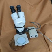 Nikon Zoom Binocular Stereo Microscope with DSK8092-100 Fluorescent Light