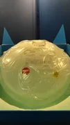 AMAT Applied Materials 0040-13509 300mm Preclean 21 OD Belljar Used Working